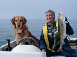 Cold liver oil for dogs offers many health benefts.