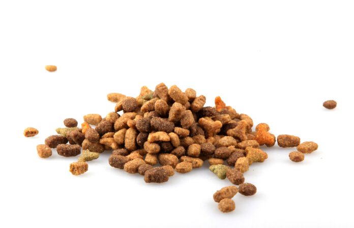 Find the best dry dog food with our yearly dry dog food reviews.