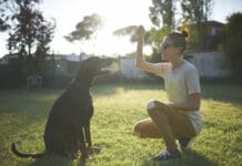 Reading canine body language is an important factor in understanding your dog.