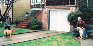 two dogs standing apart for counter conditioning training