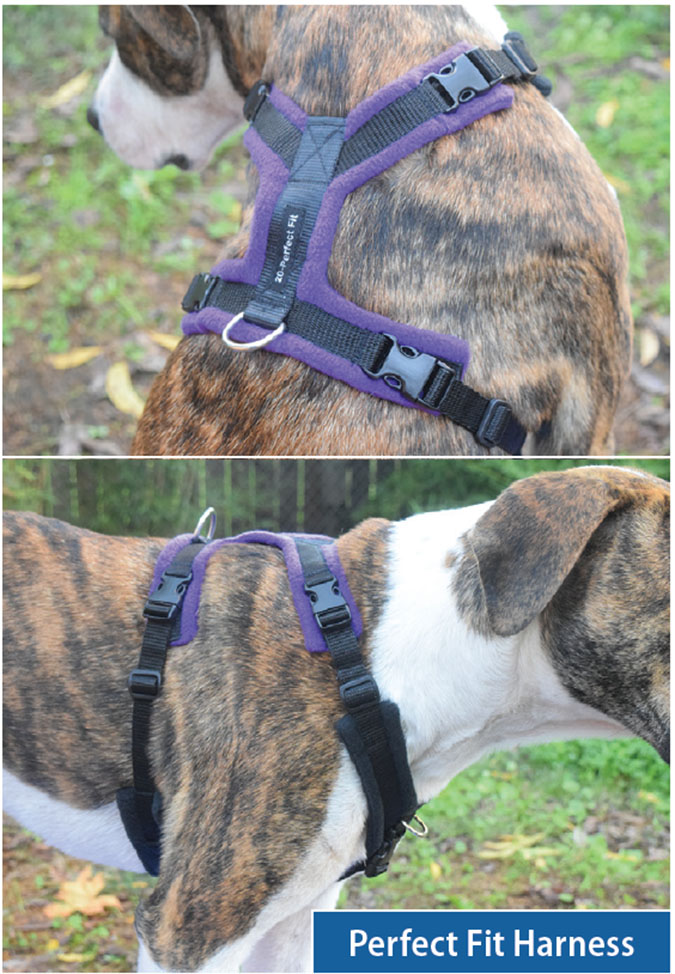 The Best Front Clip Dog Harnesses