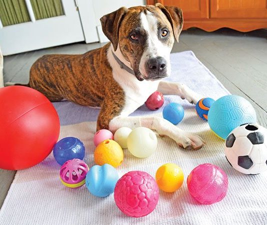 Super Durable Dog Balls for Fetching and Beyond The best toy dog balls offer fun and safety. Being too large to be swallowed and too durable to be broken into sharp edged or swallowable pieces.