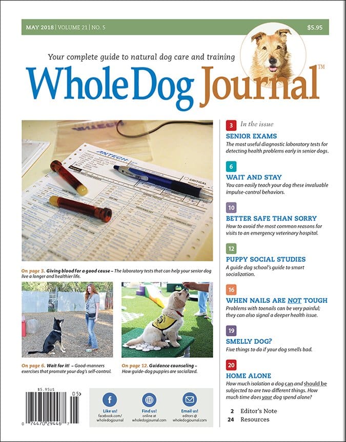 whole dog journal