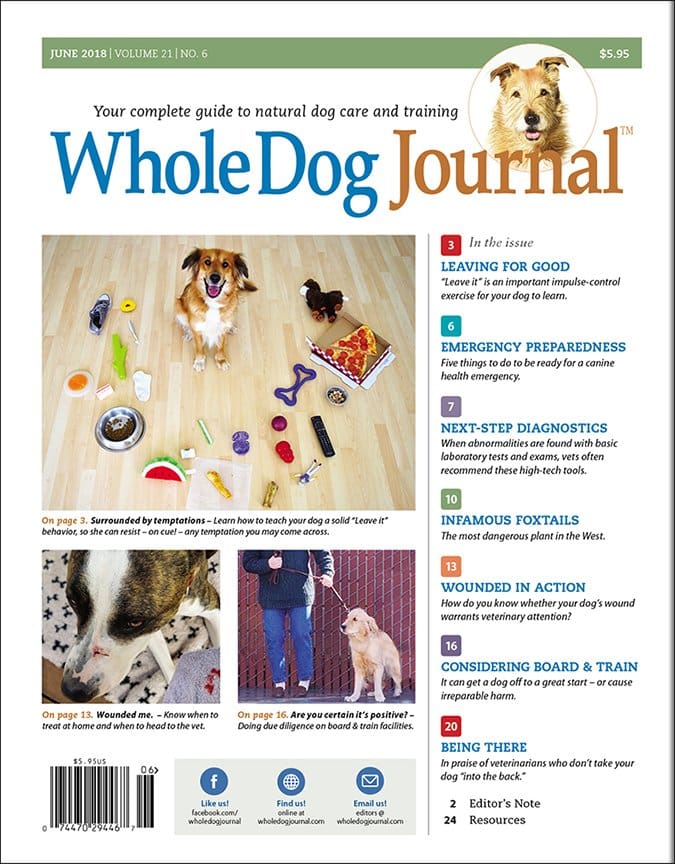 whole dog journal