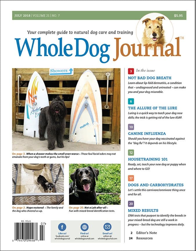 whole dog journal