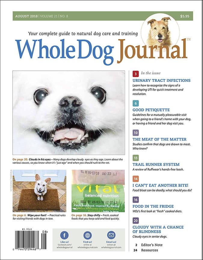 whole dog journal