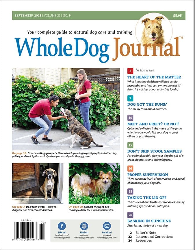 whole dog journal