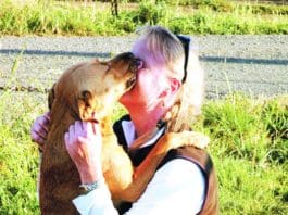 How to Teach Your Dog to Greet Nicely – or Not Greet at All