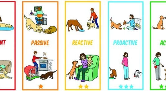 Properly Supervising Dogs