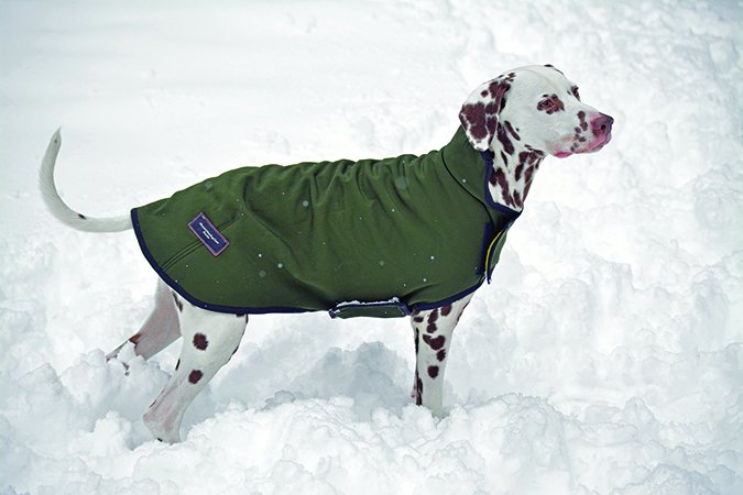 Mountain Mutt Powershield winter coat
