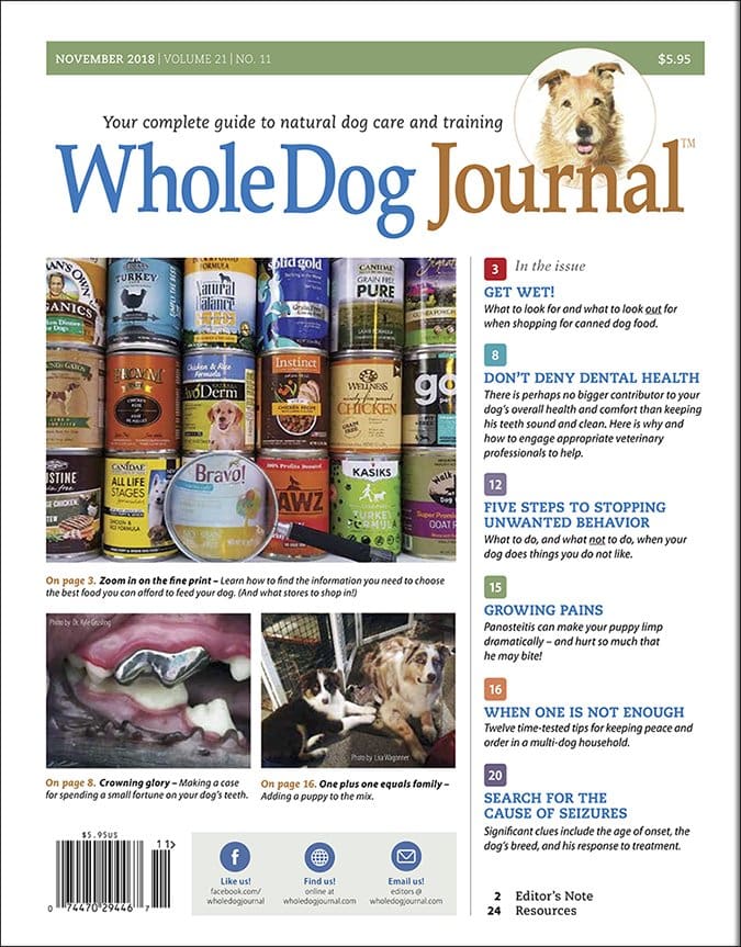 whole dog journal