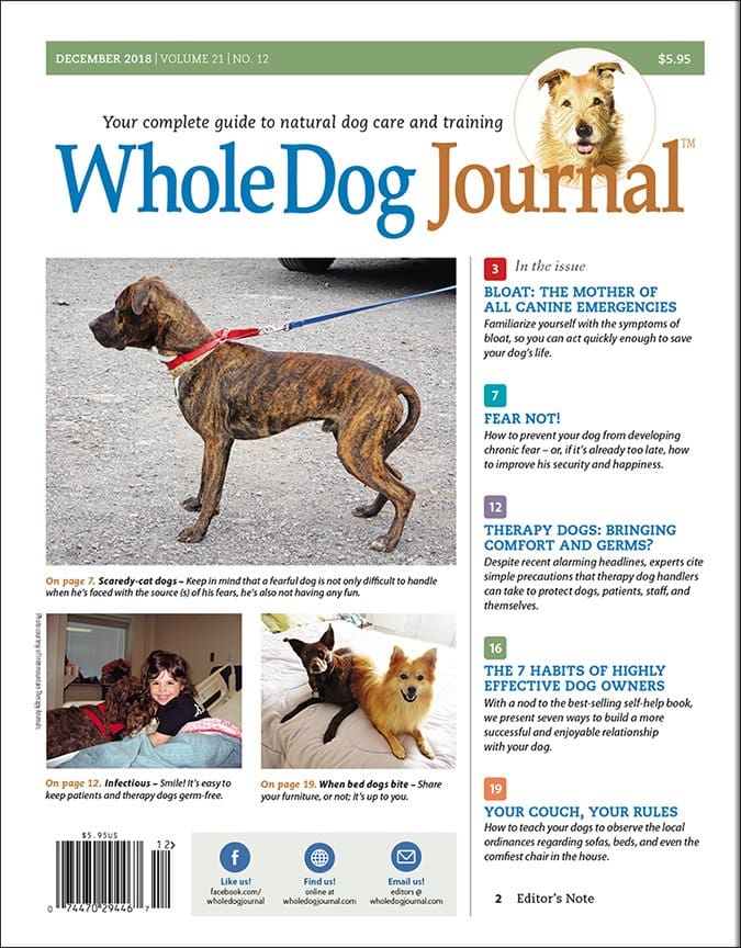 whole dog journal