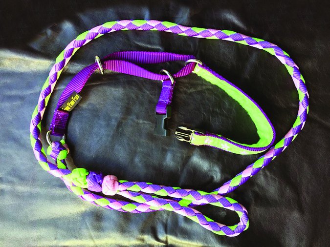 four paw fun martingale all-in-one