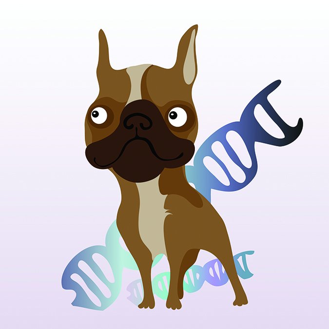 genetic testing for dogs