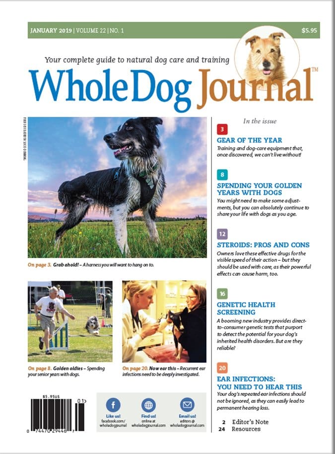 whole dog journal