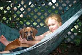 rhodesian ridgeback and child