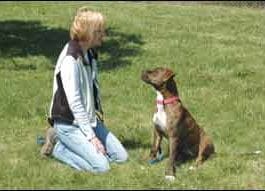 Teaching Your Dog Calm, Slow Breathing