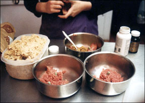 Home-Prepared Dog Food