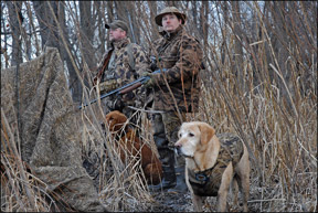 Training Hunting Dogs