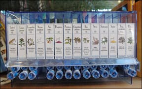 Homeopathic Remedies