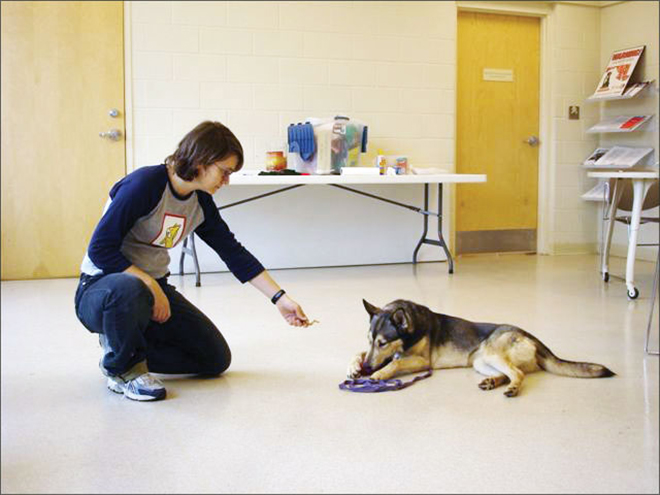 resource guarding dog training