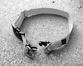 breakable dog collar