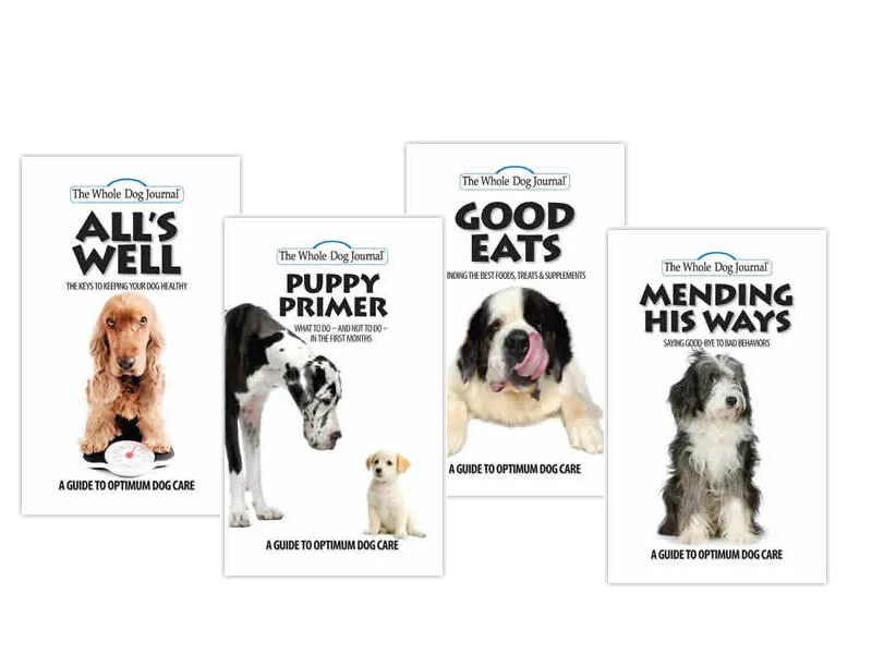 Optimum Dog Care: All Four Guides