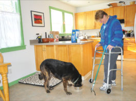 dog and person with walker
