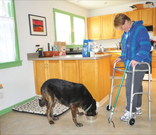 Dog Care When You’re Down dog and person with walker