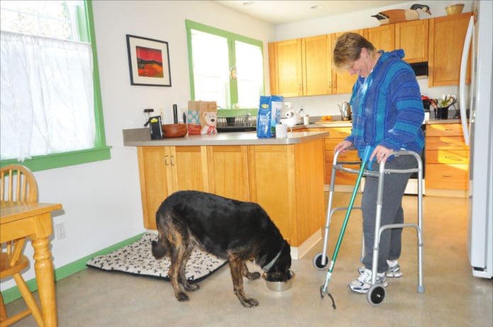 dog and person with walker