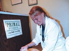 That All-Important Wellness Visit