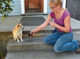 woman holding nail clippers near dog