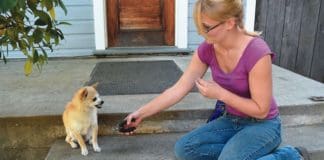 woman holding nail clippers near dog