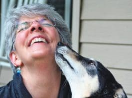 Help With Door-Crazy Dogs