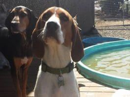 Sometimes a New Home is Best