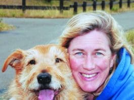 Find Activities That Fit Your Dog’s Personality