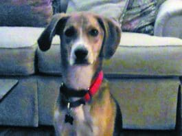 A Former Inmate’s Success Story