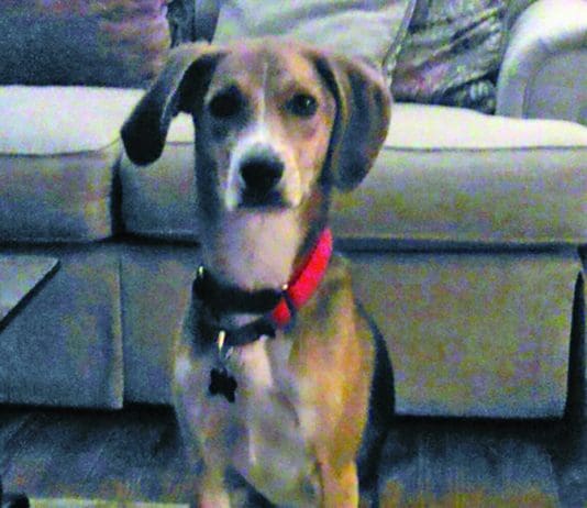 A Former Inmate’s Success Story