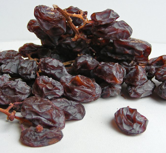 raisins and grapes are toxic to dogs
