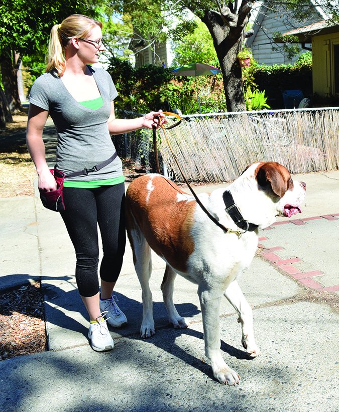 dog walker using dog treat bag