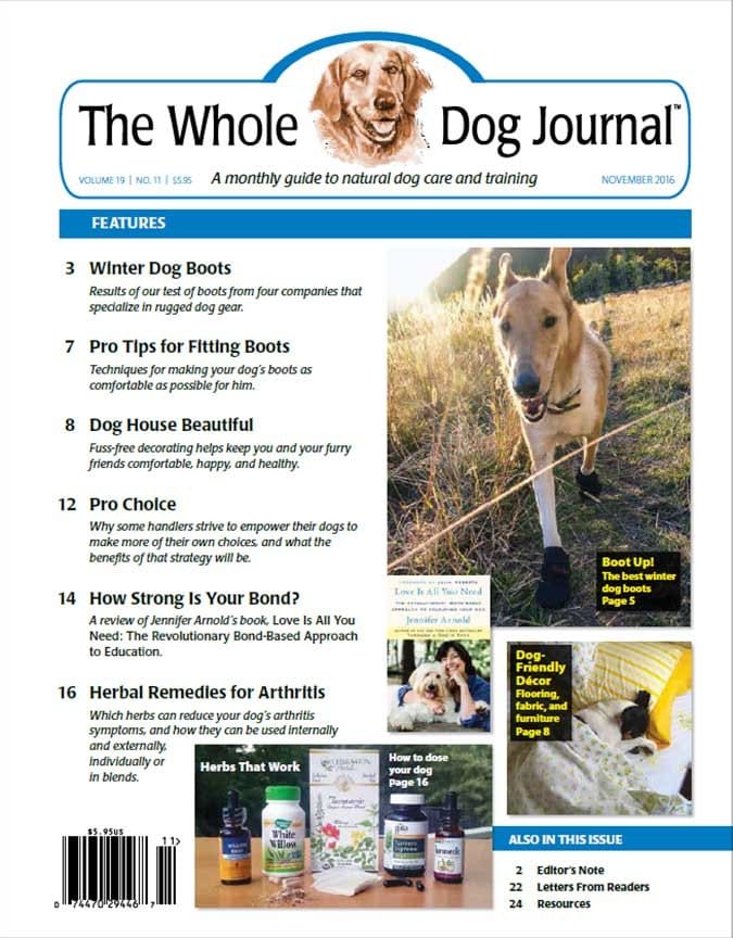 Whole Dog Journal