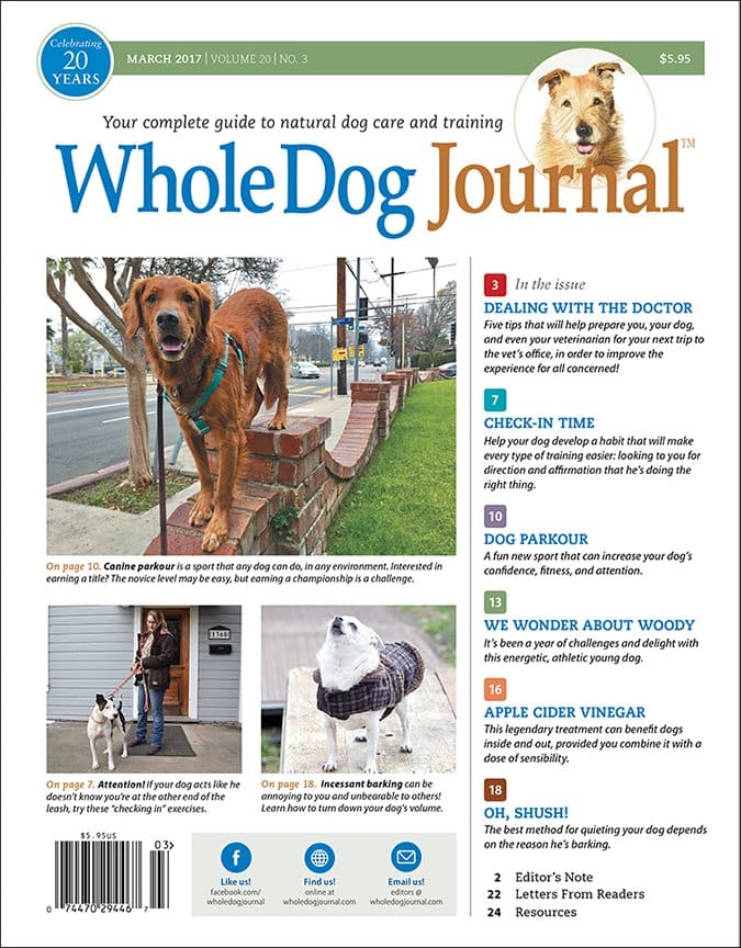 whole dog journal