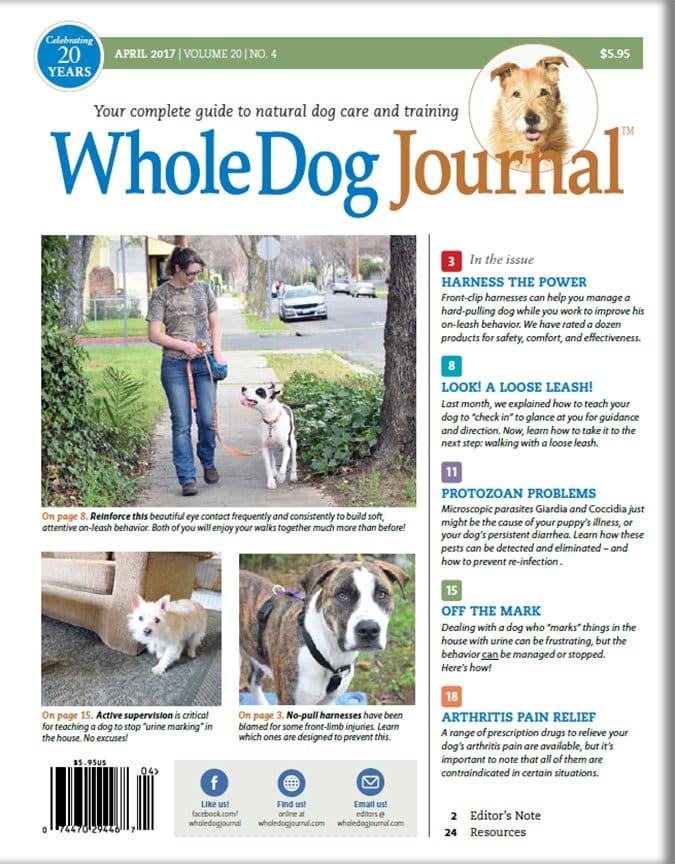 whole dog journal