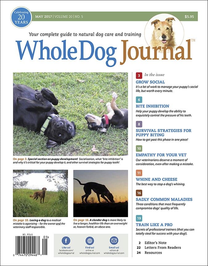 Whole Dog Journal