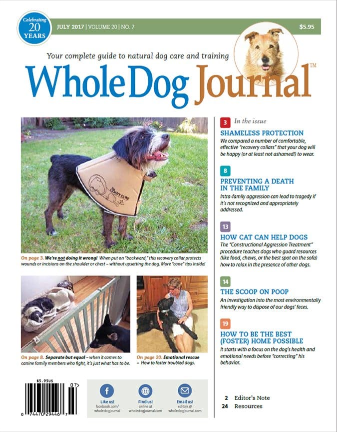 Whole Dog Journal