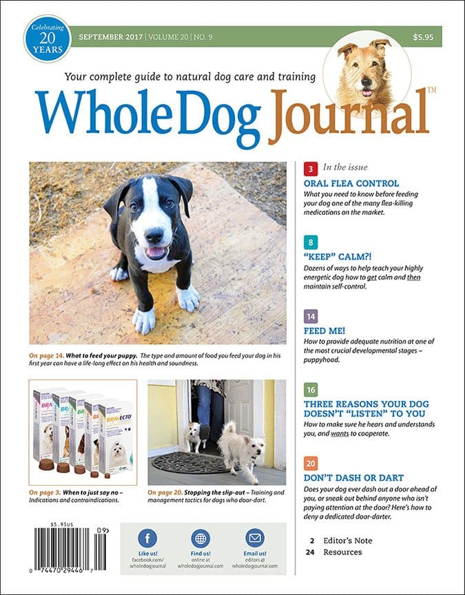 whole dog journal