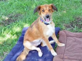 Something for the pain, please!