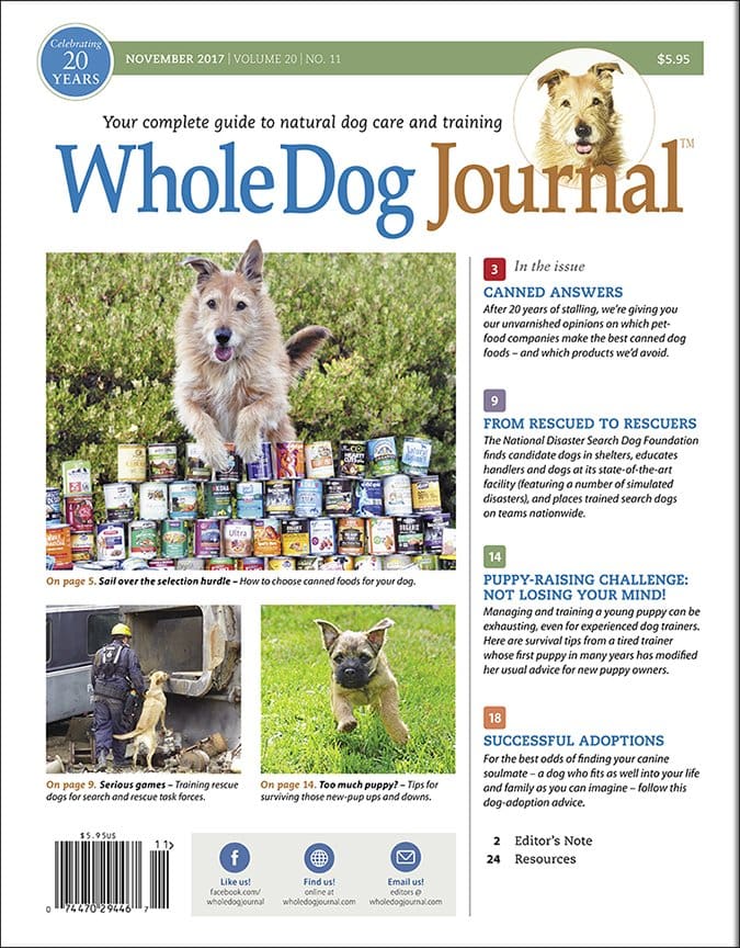 Whole Dog Journal Approved canned dog food