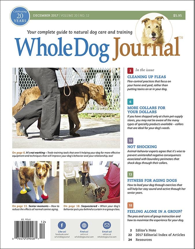 whole dog journal