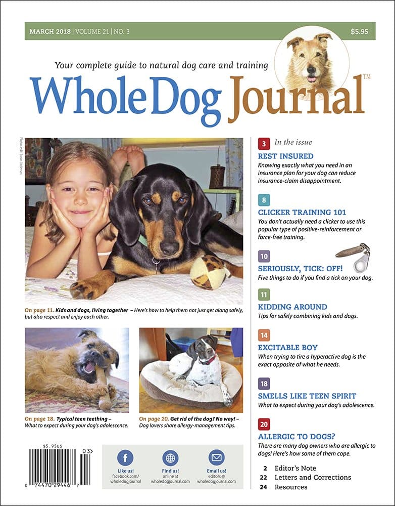 whole dog journal